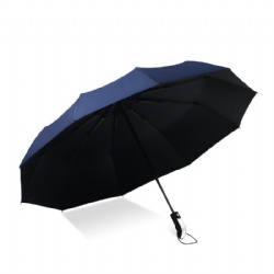 3 Foldable Umbrella